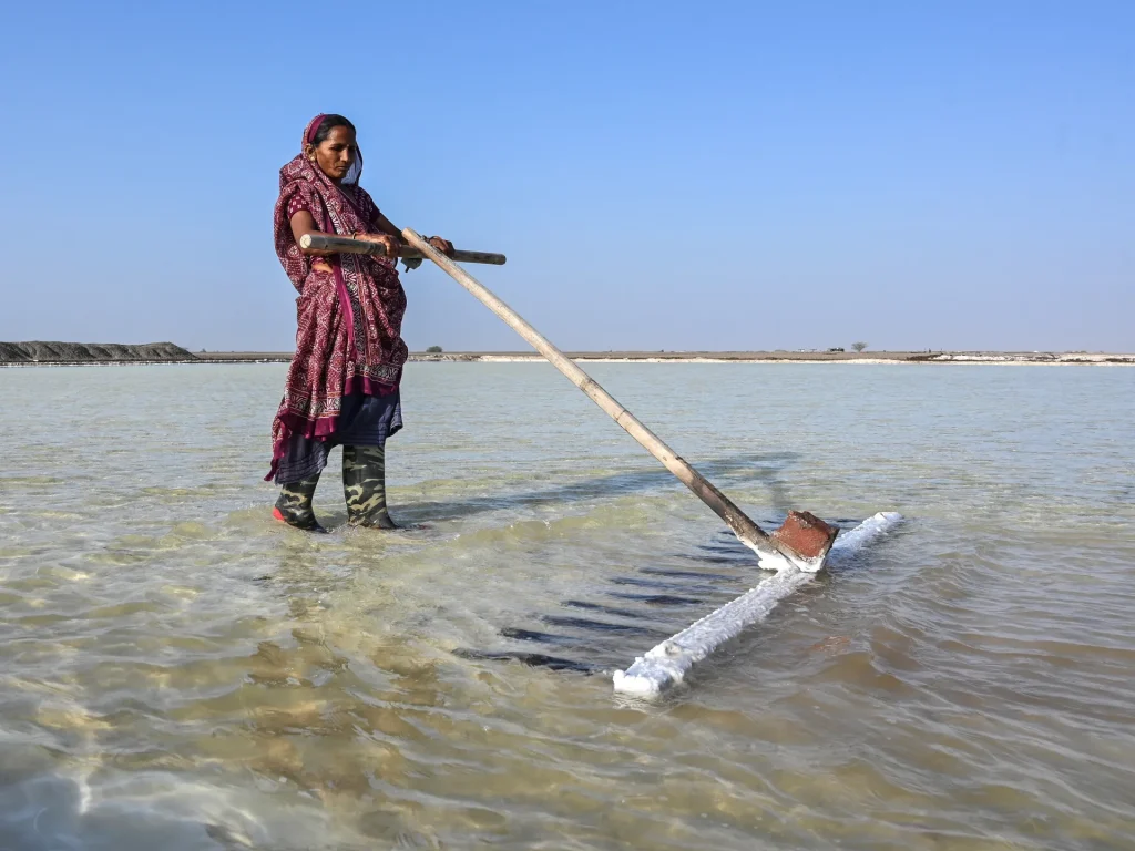 I lavoratori del sale indiani affrontano il caldo brutale nelle pianure desertiche del Gujarat | Notizie meteorologiche
