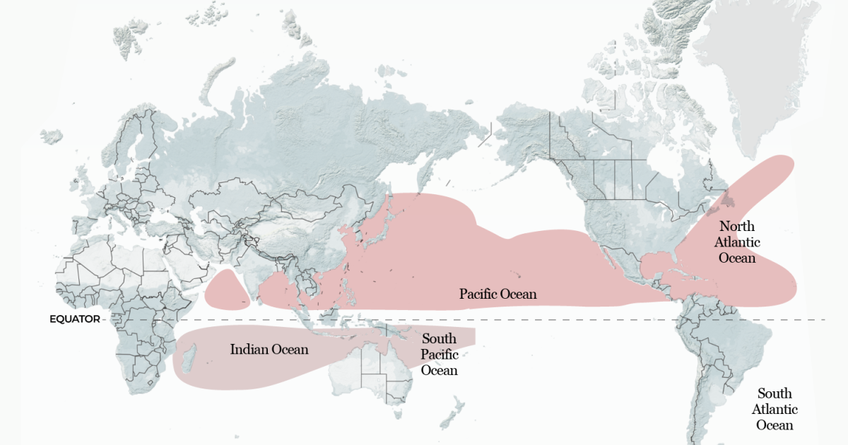In che modo El Nino potrebbe rimodellare le tempeste tropicali in tutto il mondo quest’anno?
