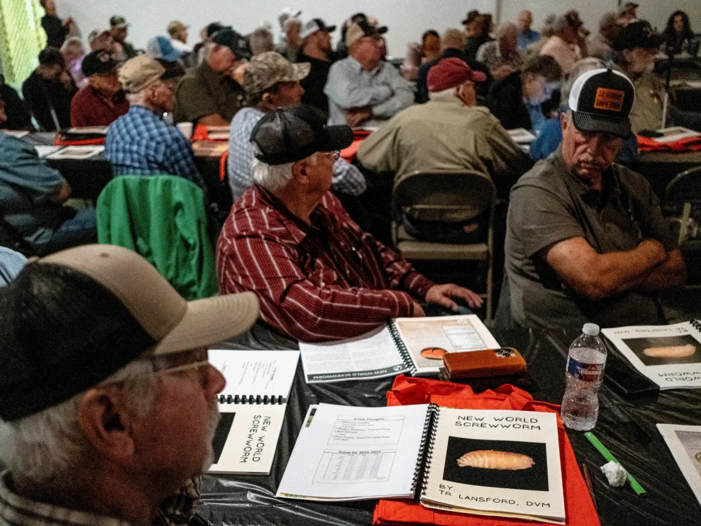Primo caso americano di vermi in 60 anni: l’America dovrebbe preoccuparsi?