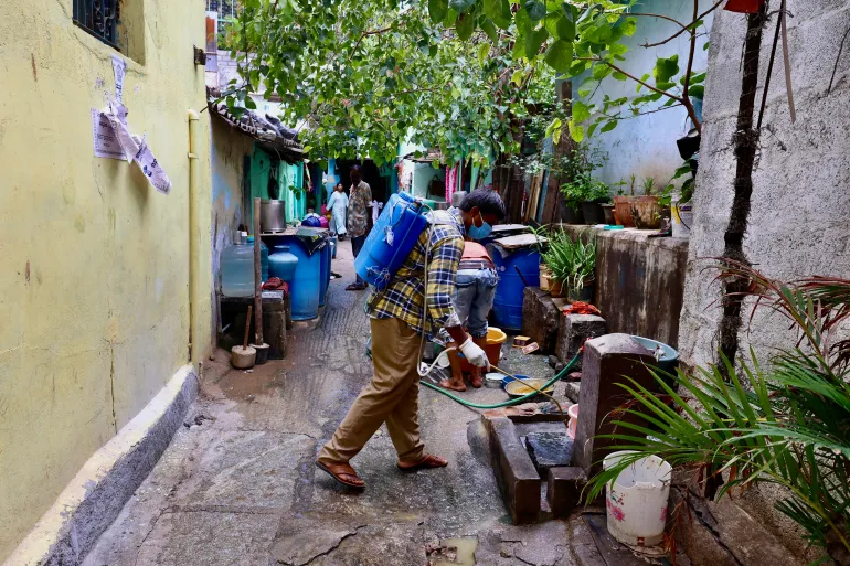 Dengue indiano