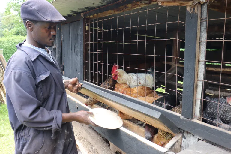 Kiprop dà da mangiare al pollo [Dominic Kirui/Oltre La Linea]