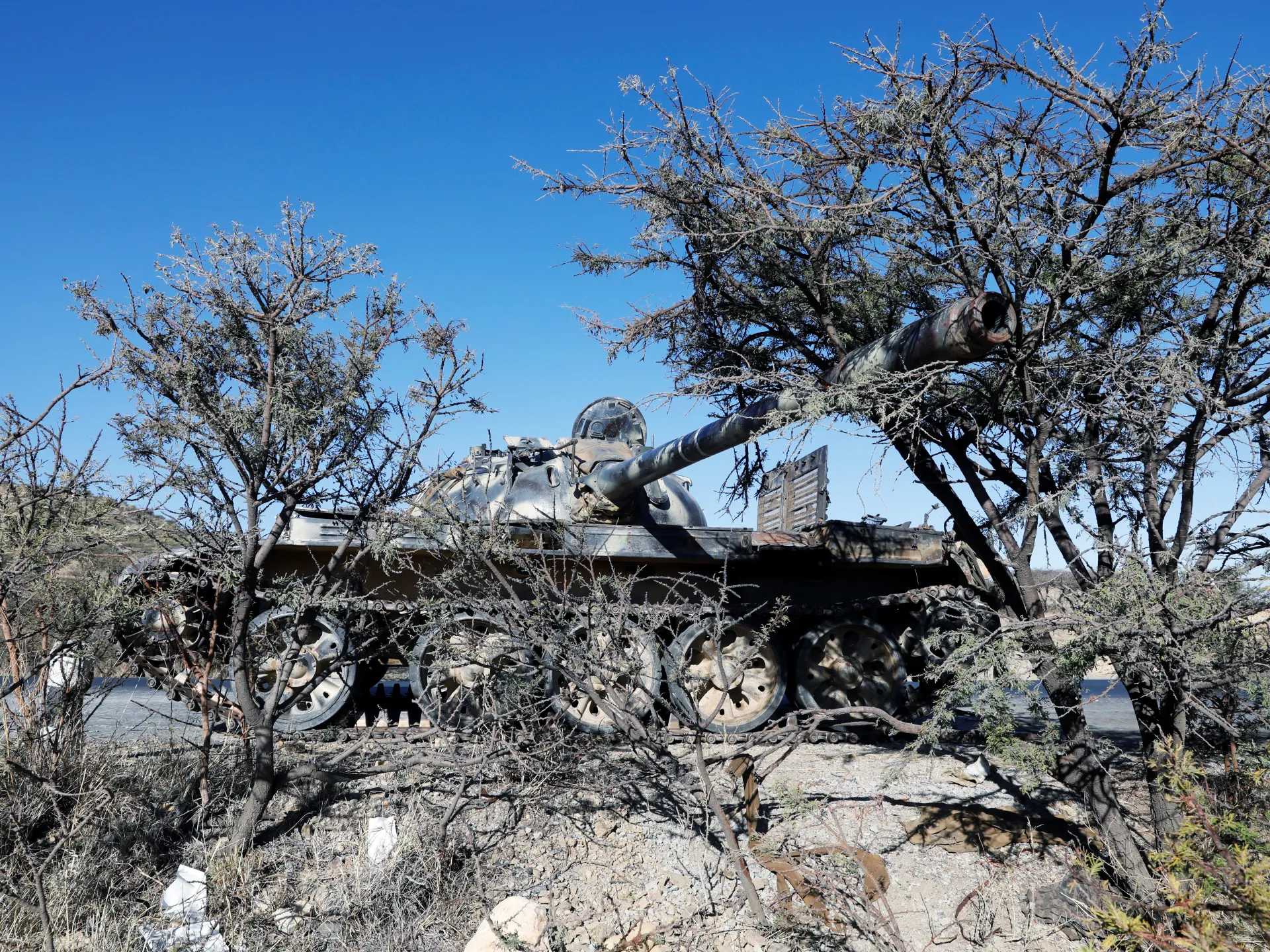L’Etiopia non viene “trascinata in guerra”