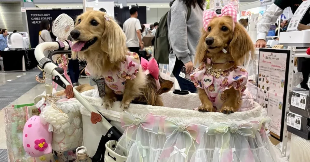 L'industria giapponese della cura degli animali domestici è in forte espansione poiché i "bambini con la pelliccia" superano il numero dei neonati