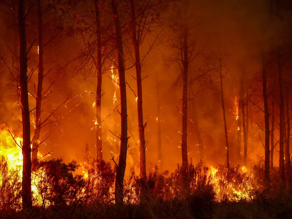 Foto: Francia e Spagna combattono gli incendi "mostruosi" mentre il caldo incombe | Notizie sul clima
