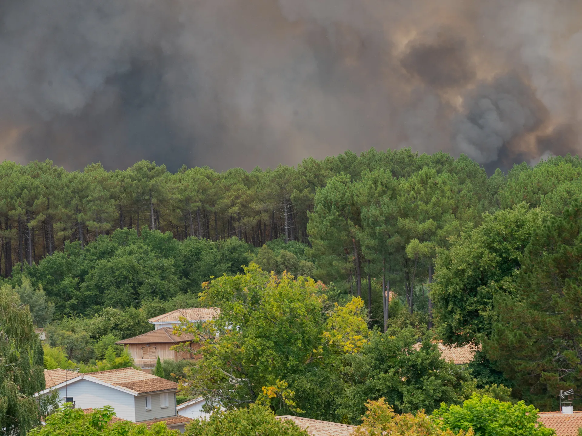 Gli incendi in Francia costringono all’evacuazione di oltre 20.000 persone dalla città turistica