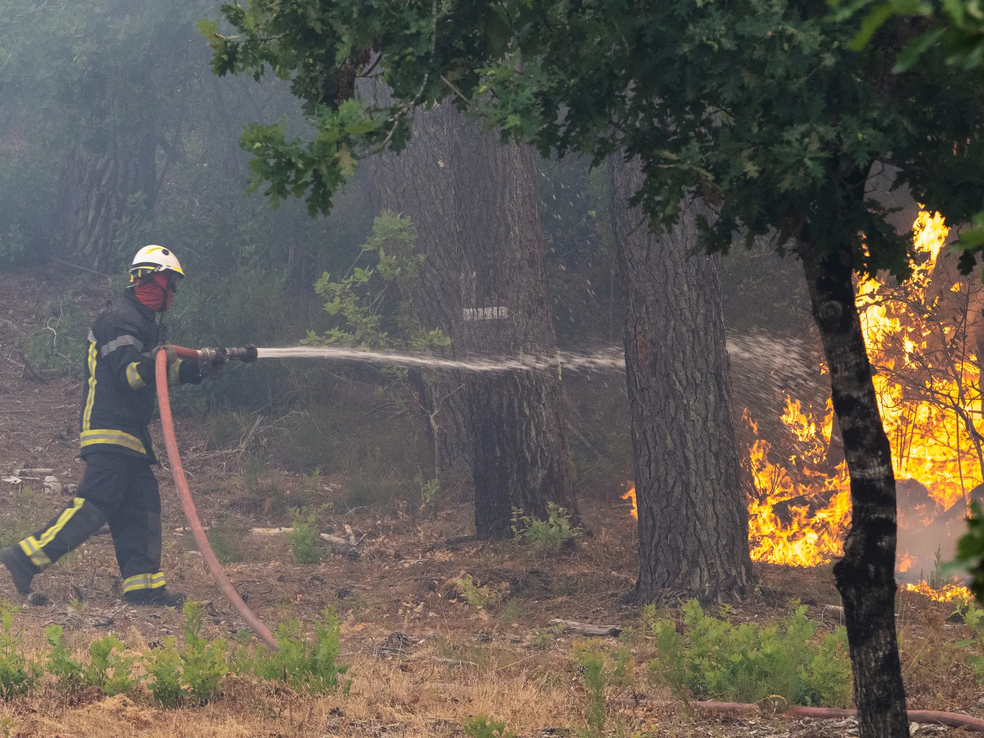 Gli incendi in Spagna e Francia costringono all’evacuazione di oltre 250.000 persone