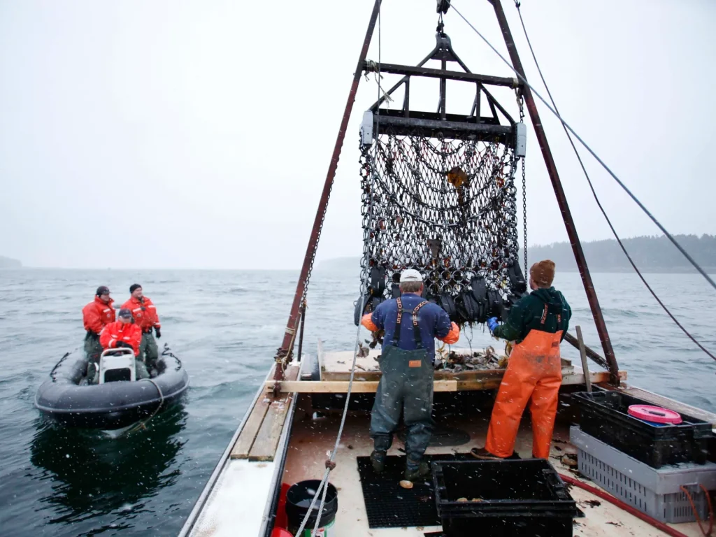 L’amministrazione Trump mira a ridurre le normative sulla pesca commerciale negli Stati Uniti