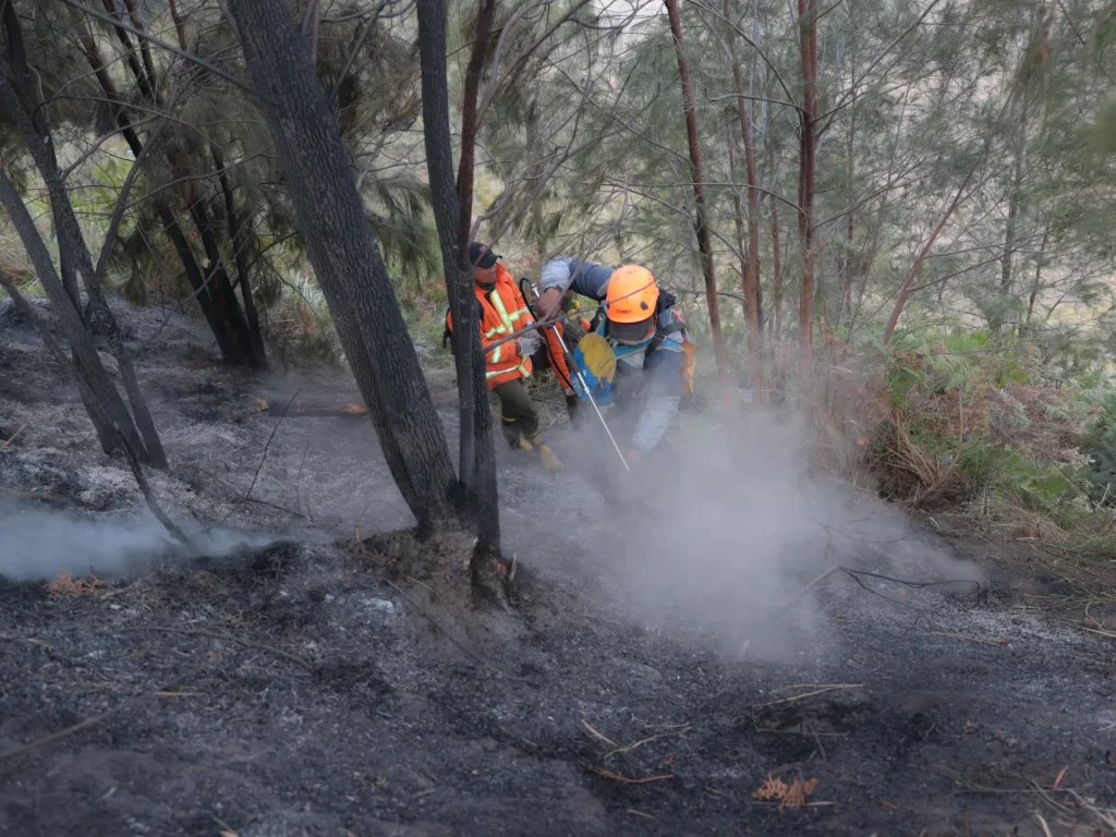 Le autorità indonesiane corrono per contenere gli incendi mentre dozzine di scuole chiudono
