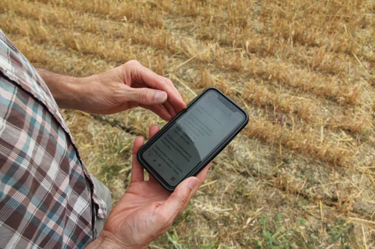 Tom Pearson mostra i dati mensili sulle precipitazioni sul suo telefono sul campo: dati che tiene traccia da vicino poiché i raccolti di grano sono diminuiti di circa il 40% in questa stagione. Credito: John Kjorstad
