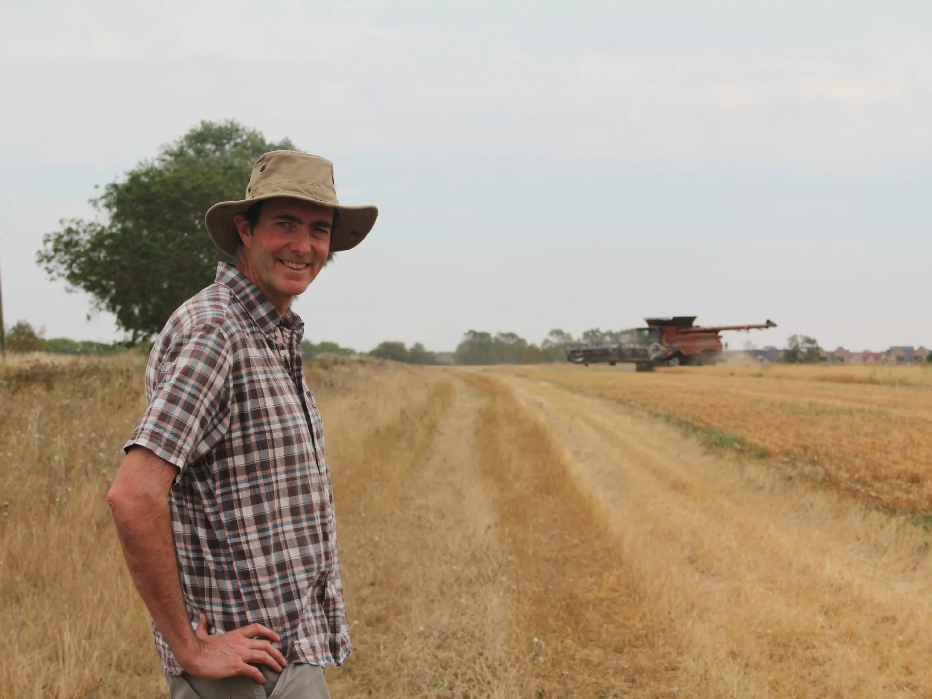 Con l’aumento delle temperature, una siccità “eccezionalmente grave” mette in pericolo gli agricoltori del Regno Unito
