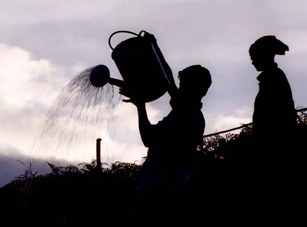 I governi si preparano agli impatti storici di El Nino sugli estremi meteorologici globali