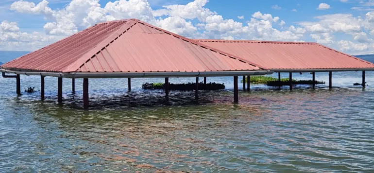 Il centro di ricerca sulle zone umide del Wildlife Research and Training Institute (WRTI) a Naivasha è stato allagato dall'innalzamento del livello dell'acqua nel lago Naivasha.