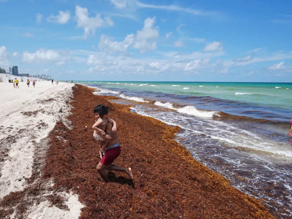 Le temperature globali degli oceani raggiungono livelli record mentre El Nino si intensifica