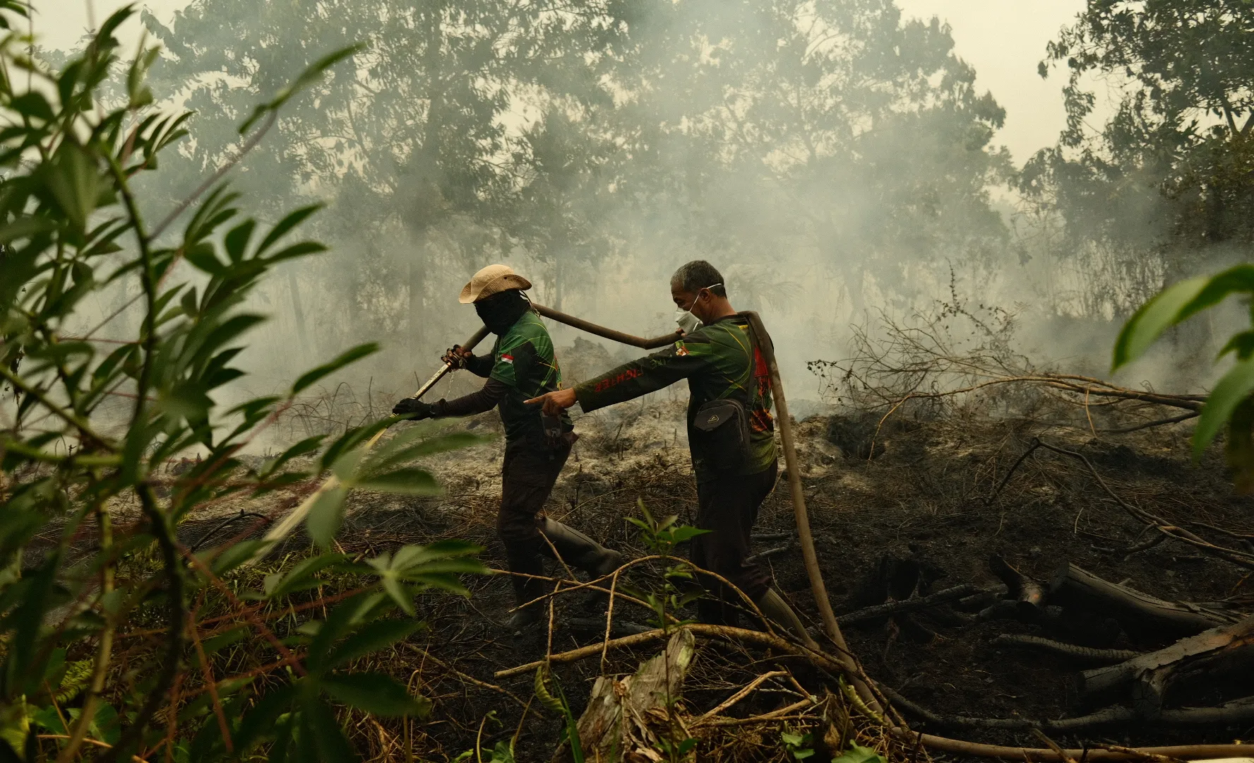 "Tutto è coperto di cenere": gli incendi in Indonesia lasciano le persone in crisi
