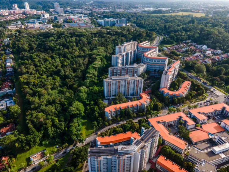 Una veduta aerea della foresta Maju di Singapore, che significa