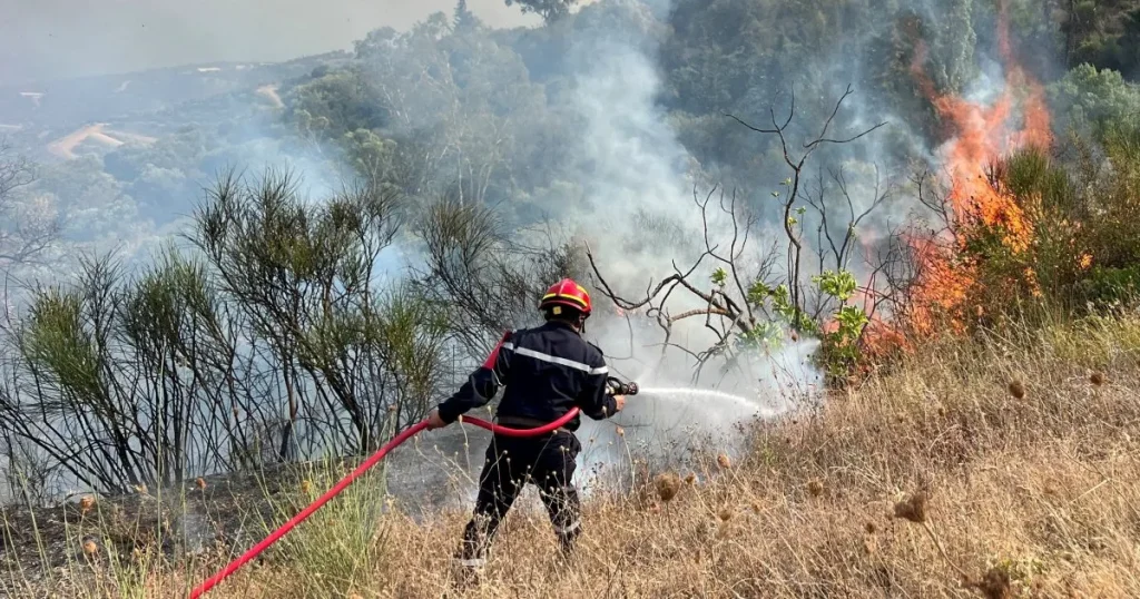 Almeno 12 morti e 54 feriti mentre gli incendi devastano il nord-est dell'Algeria