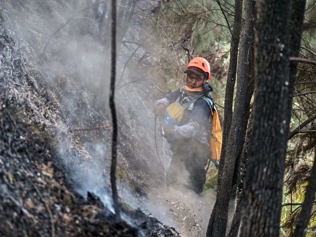 Gli incendi bruciano in tutta l’Indonesia mentre le autorità citano El Nino come causa