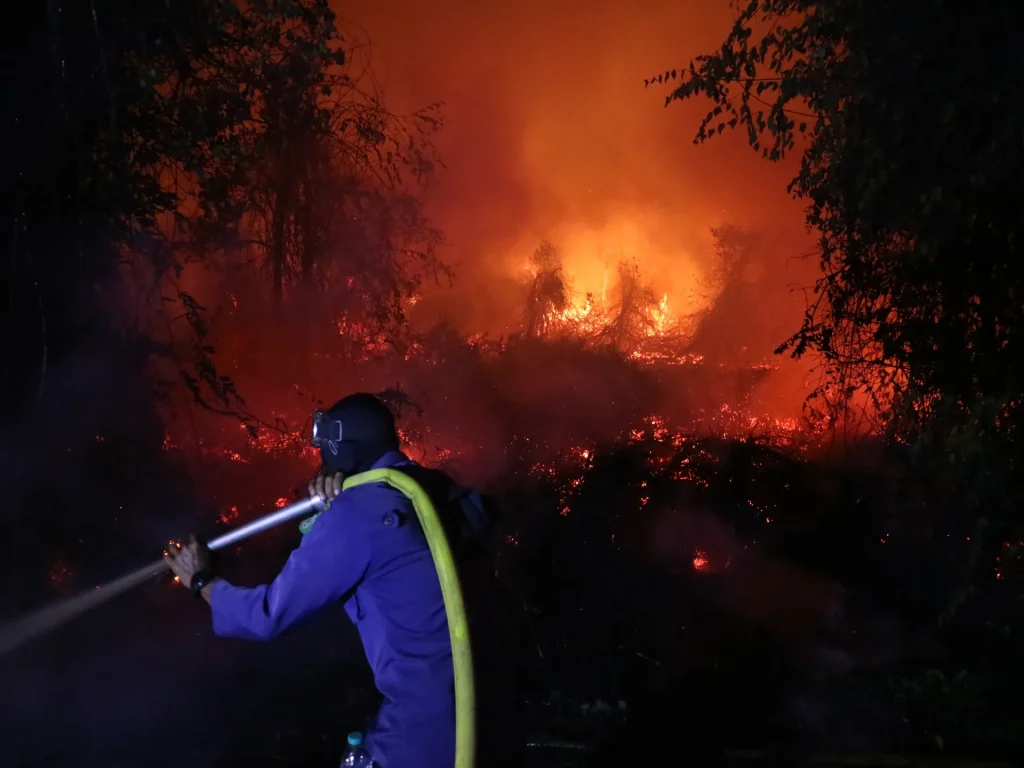 Le battaglie in Indonesia si offuscano mentre gli incendi infuriano nelle foreste del sud di Sumatra | Notizie meteorologiche