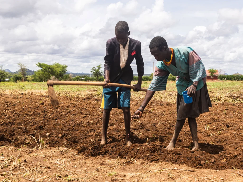 Perché l’Uganda sta attraversando una crisi alimentare?