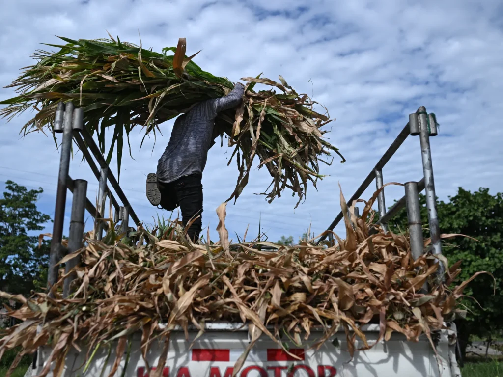 El Nino: un fenomeno potenziato dal cambiamento climatico