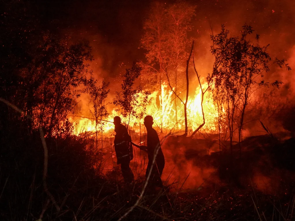 Quattro morti mentre l'Indonesia combatte i peggiori incendi boschivi degli ultimi dieci anni