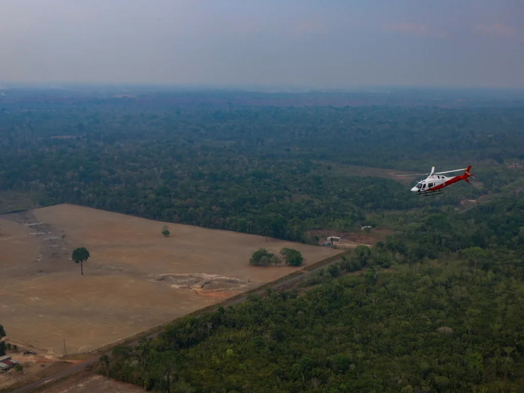 La deforestazione dell’Amazzonia in Brasile ha raggiunto il livello più basso mai registrato