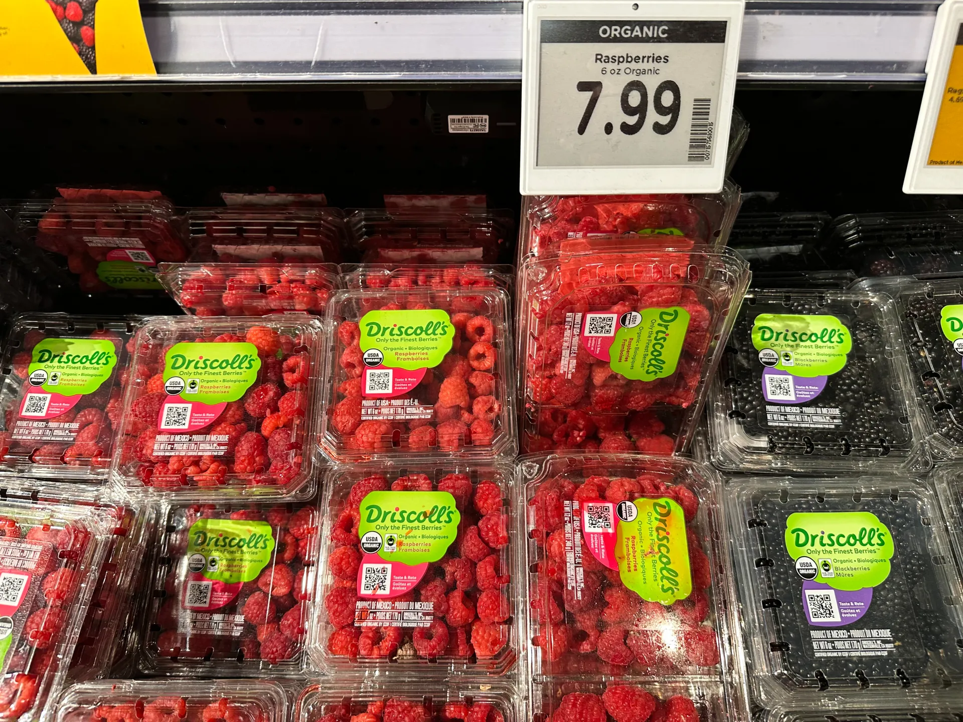 La fiducia dei consumatori americani tocca un minimo record prima delle elezioni di metà mandato